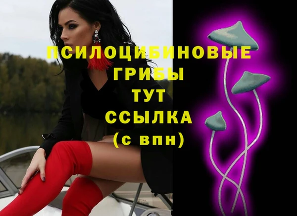 шишки Армянск