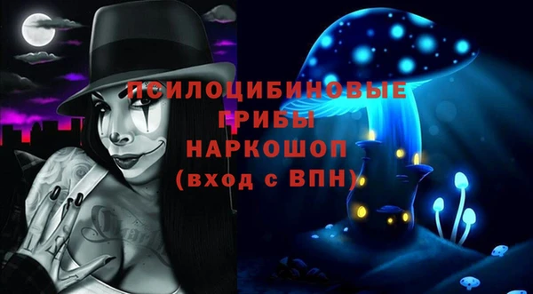 шишки Армянск