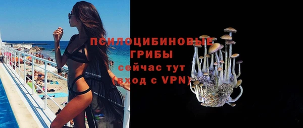 спайс Аркадак