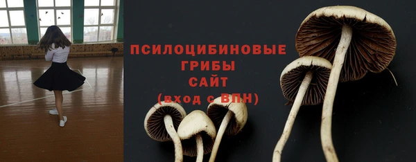спайс Аркадак