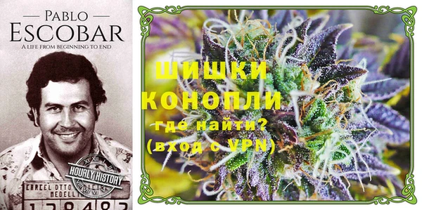 шишки Армянск